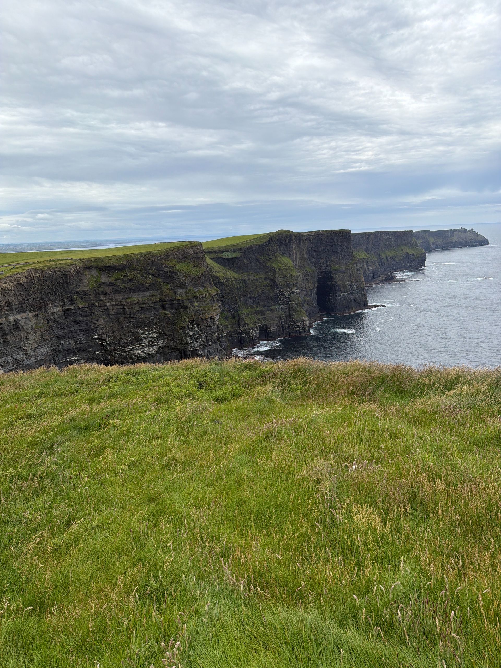 Grassy cliff overlooking a rocky ocean shoreline under a cloudy sky