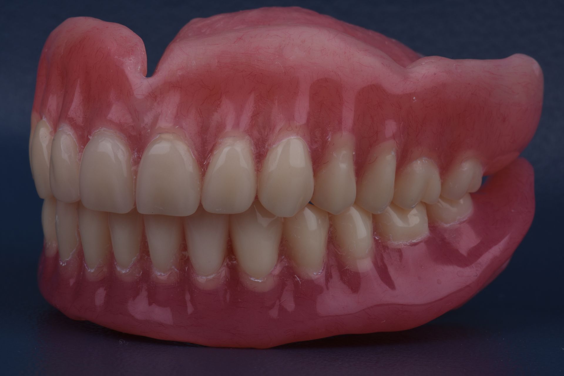 False teeth, Upper and Lower Dentures, Pink Gums — Central Coast Denture Clinic Erina In Erina, NSW