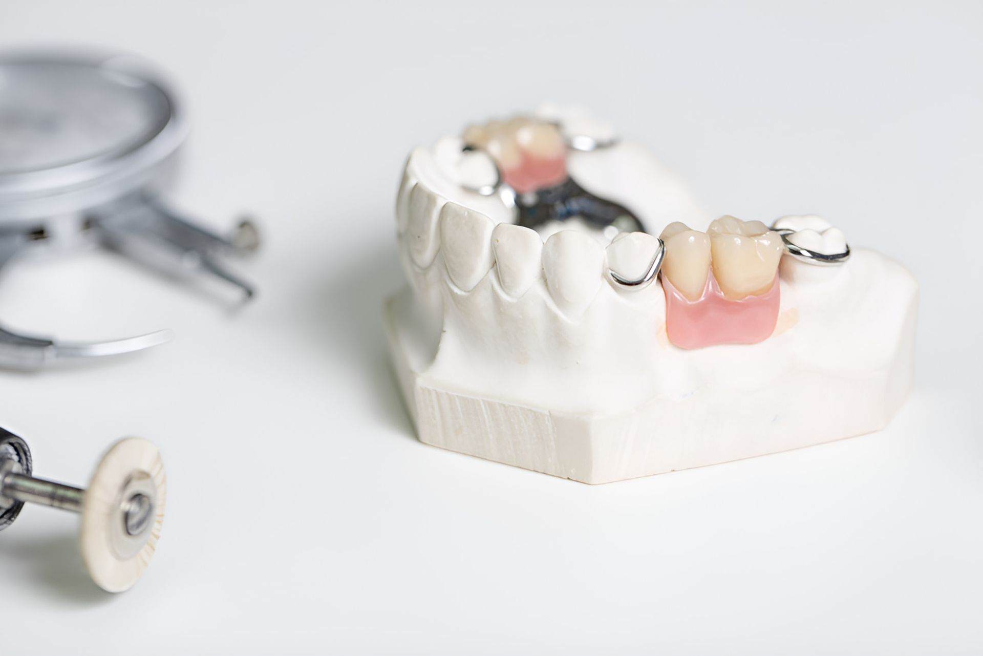 A Model of a Denture With Dental Tools — Central Coast Denture Clinic Erina In Erina, NSW