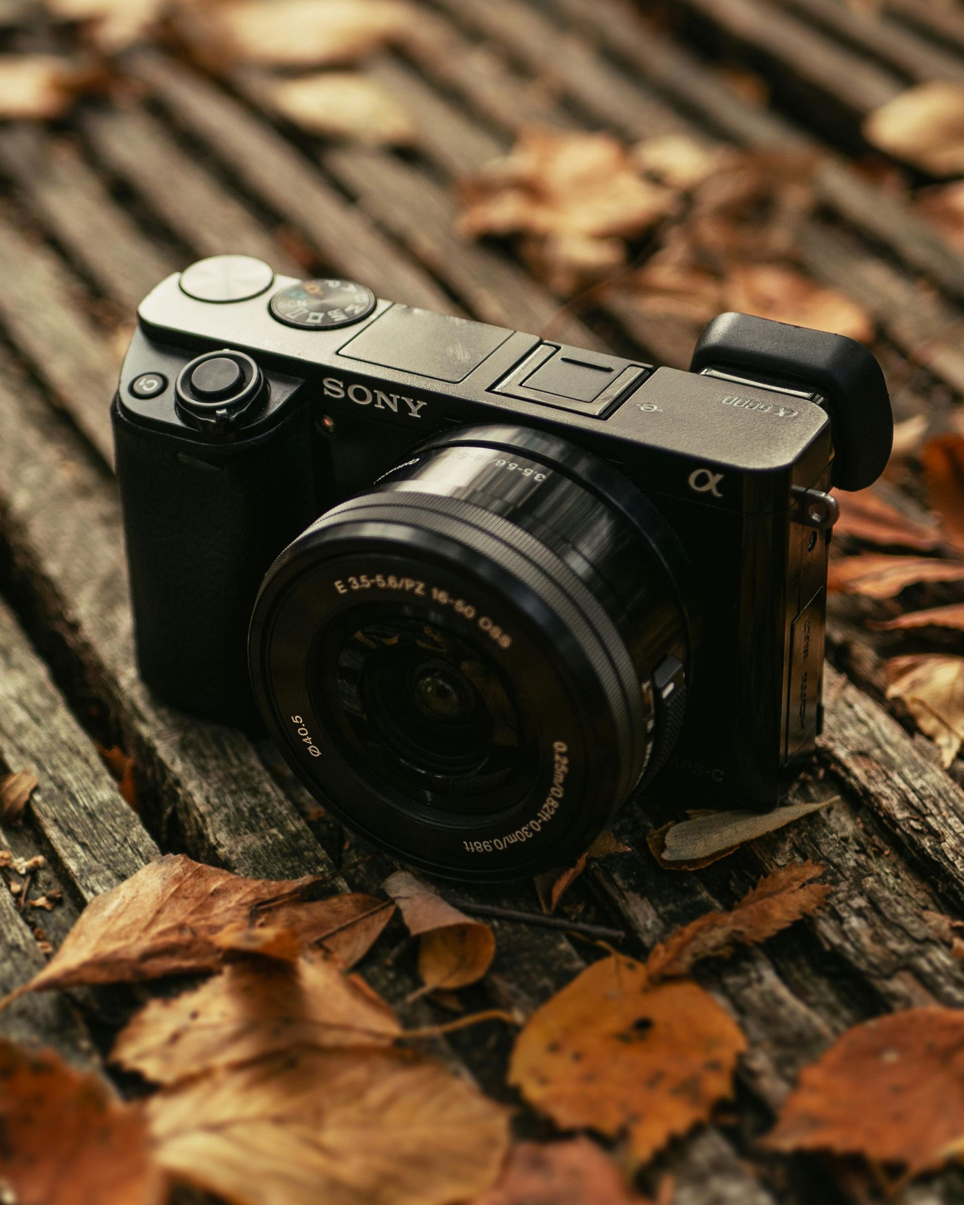 Cameras & Lenses