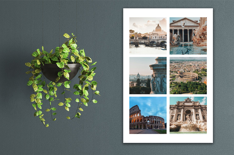 Poster & Collages image