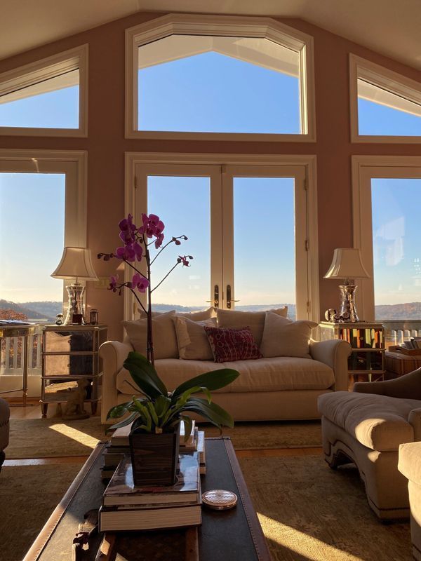Sunlit living room with large windows, beige sofas, orchid centerpiece, and city view