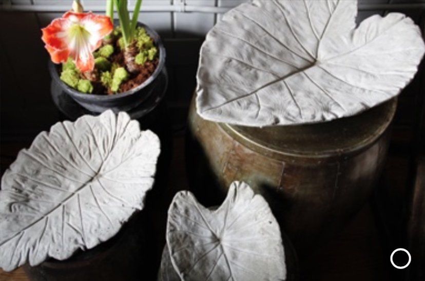 Three silver leaves on pots, with a small succulent and red flower in the background