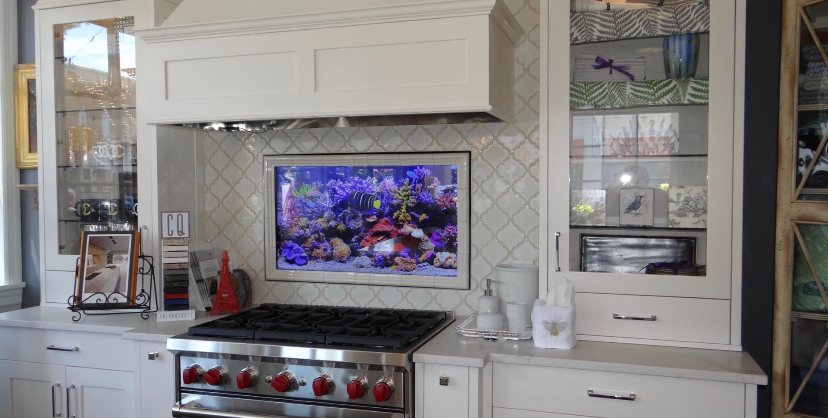 Modern white kitchen with a stainless stove and a TV displaying an underwater scene