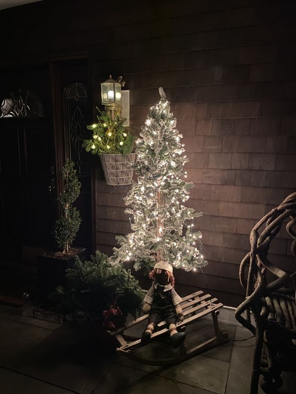 Lit Christmas tree beside a hanging planter and rustic chair on a dark porch at night