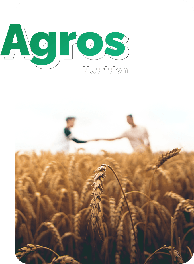 Consultoria técnica, agricultura, lavoura, produtividade, tecnologia agrícola, manejo do solo, adubação, sementes, controle de pragas, nutrição de plantas, sustentabilidade.