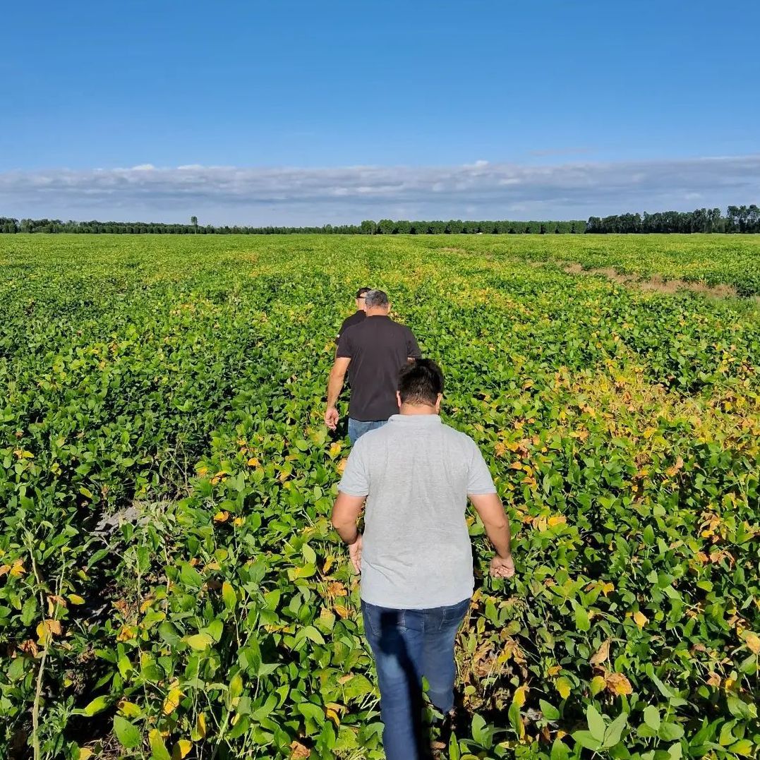 Dois homens caminhando por um campo verde em um dia ensolarado.