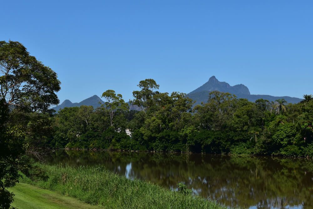 A River Surrounded by Trees and Grass with Mountains — Northern Rivers Demolition & Asbestos in Murwillumbah, NSW