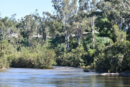 A River Surrounded by Trees on A Sunny Day — Northern Rivers Demolition & Asbestos in Casino, NSW