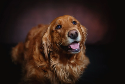 Staff Photo