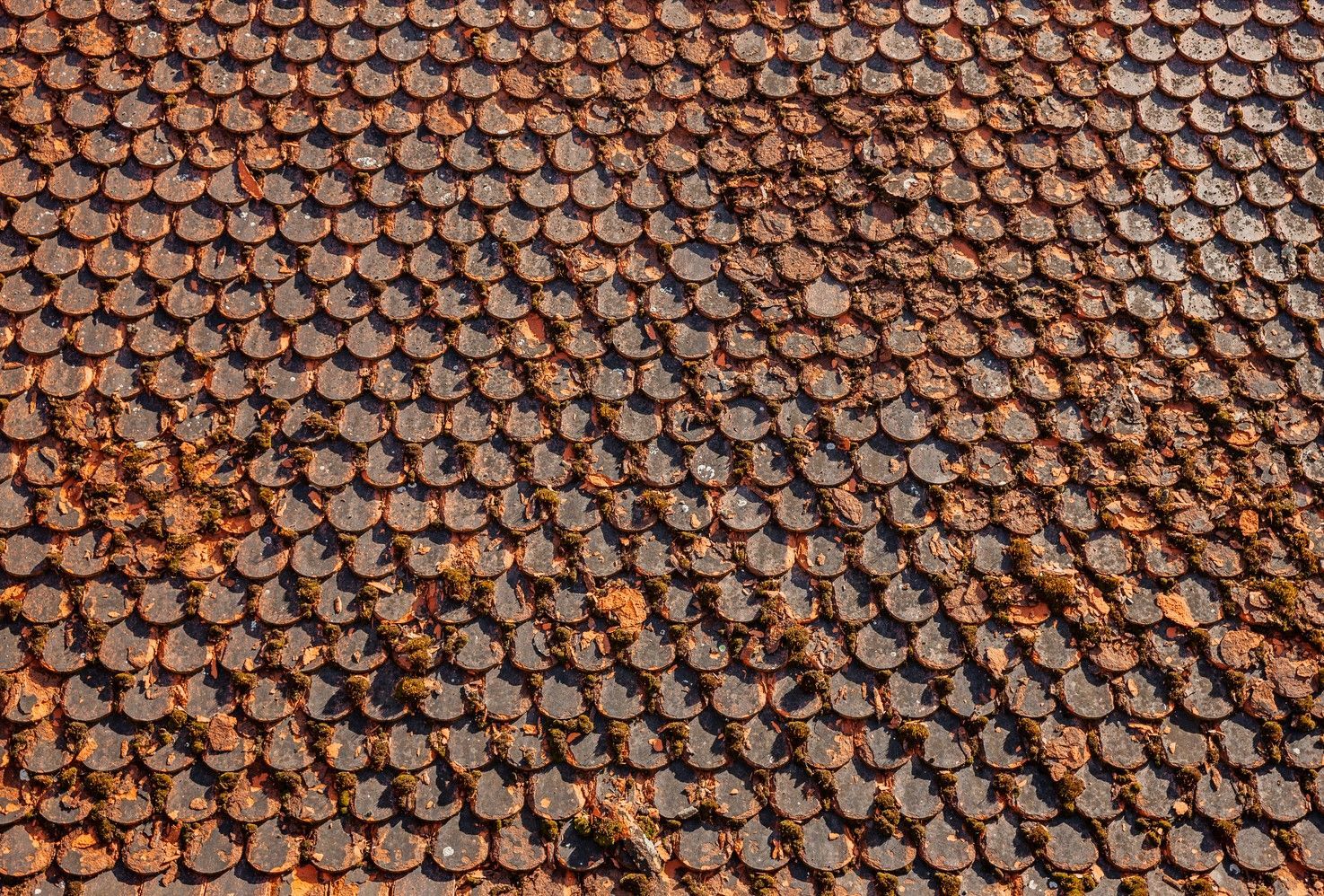 Roof Renovation Before – Ellabell, GA - Ace Roofing Inc.