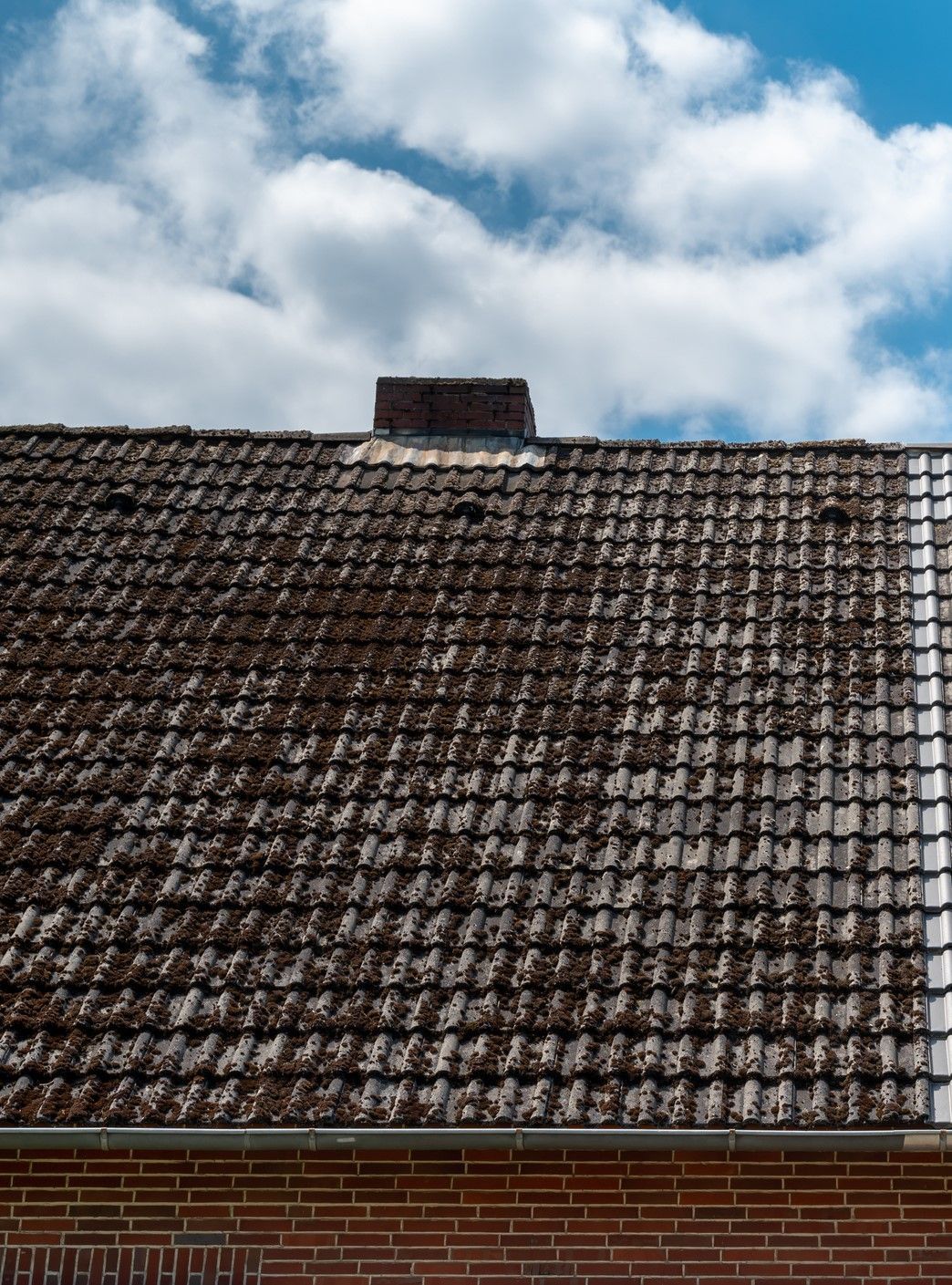 Effect of a Roof Cleaning Before – Ellabell, GA - Ace Roofing Inc.