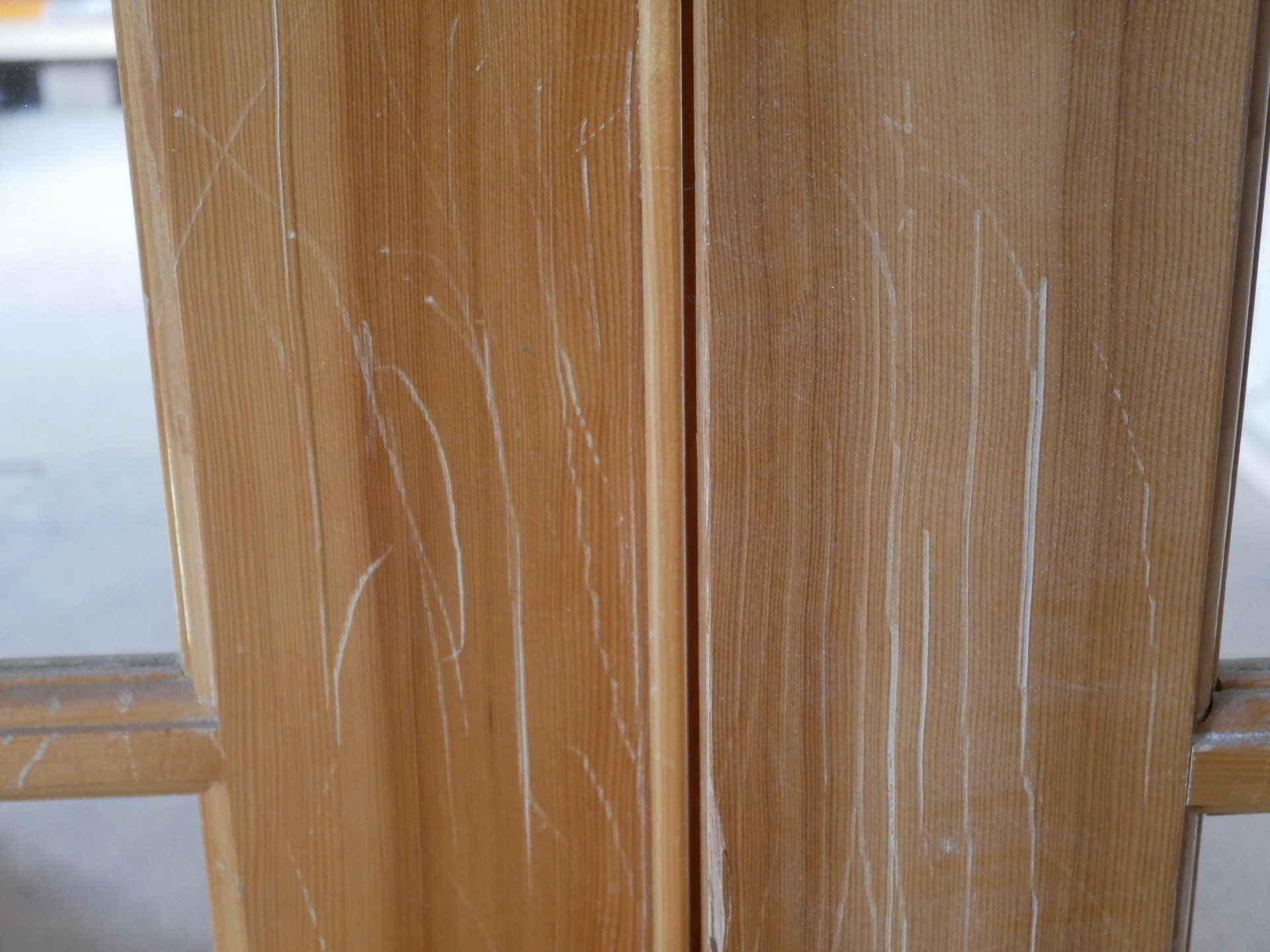Dog Scratches Door Before | Mid South Door Refinishing Nashville, TN