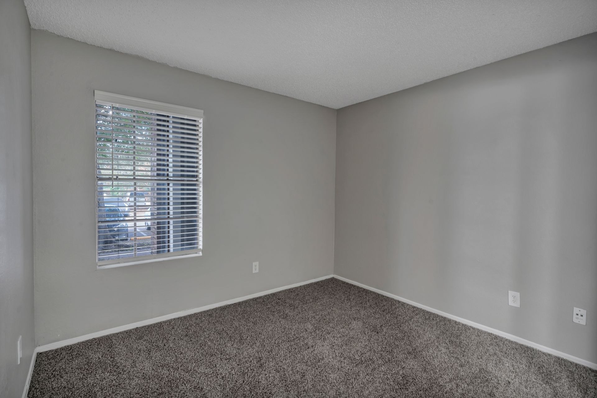An empty bedroom with a window and a carpeted floor.