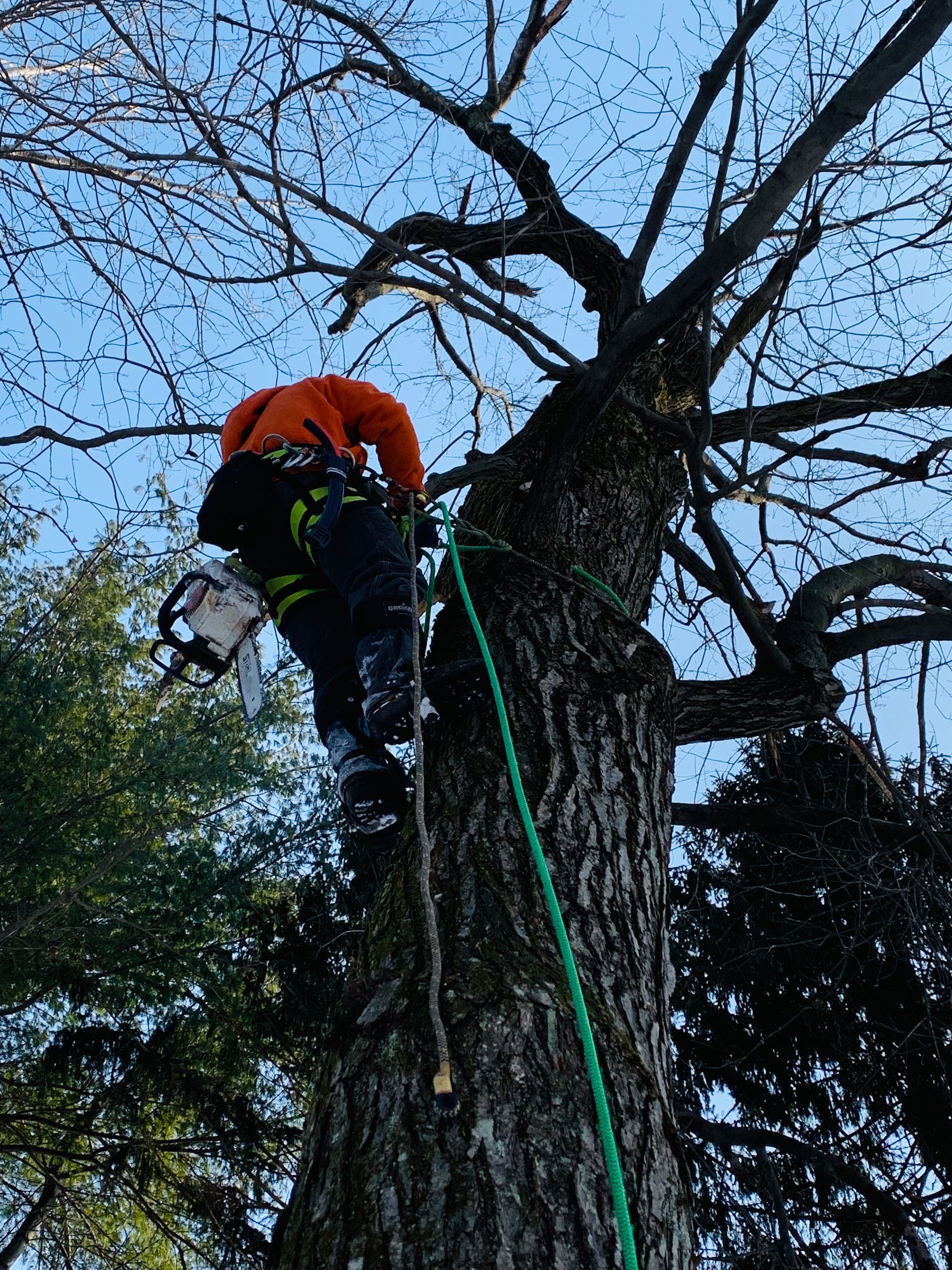a man is climbing up a tree with a chainsaw .