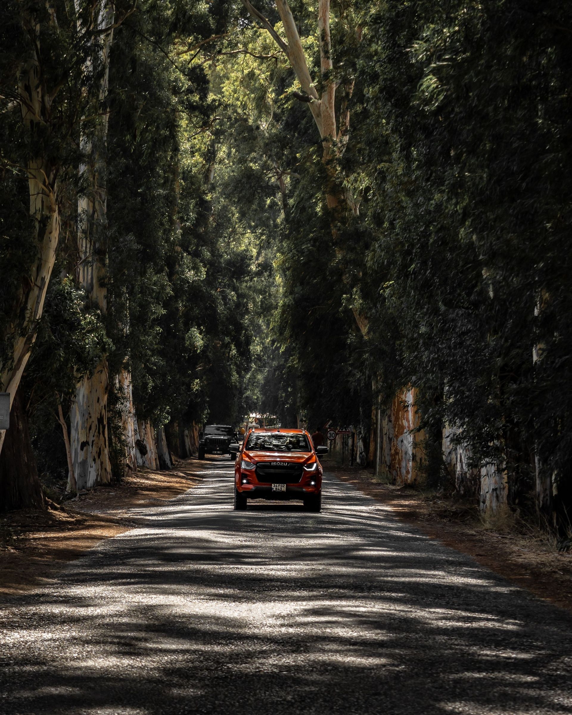 Red SUV driving down a tree-lined road with dappled sunlight.