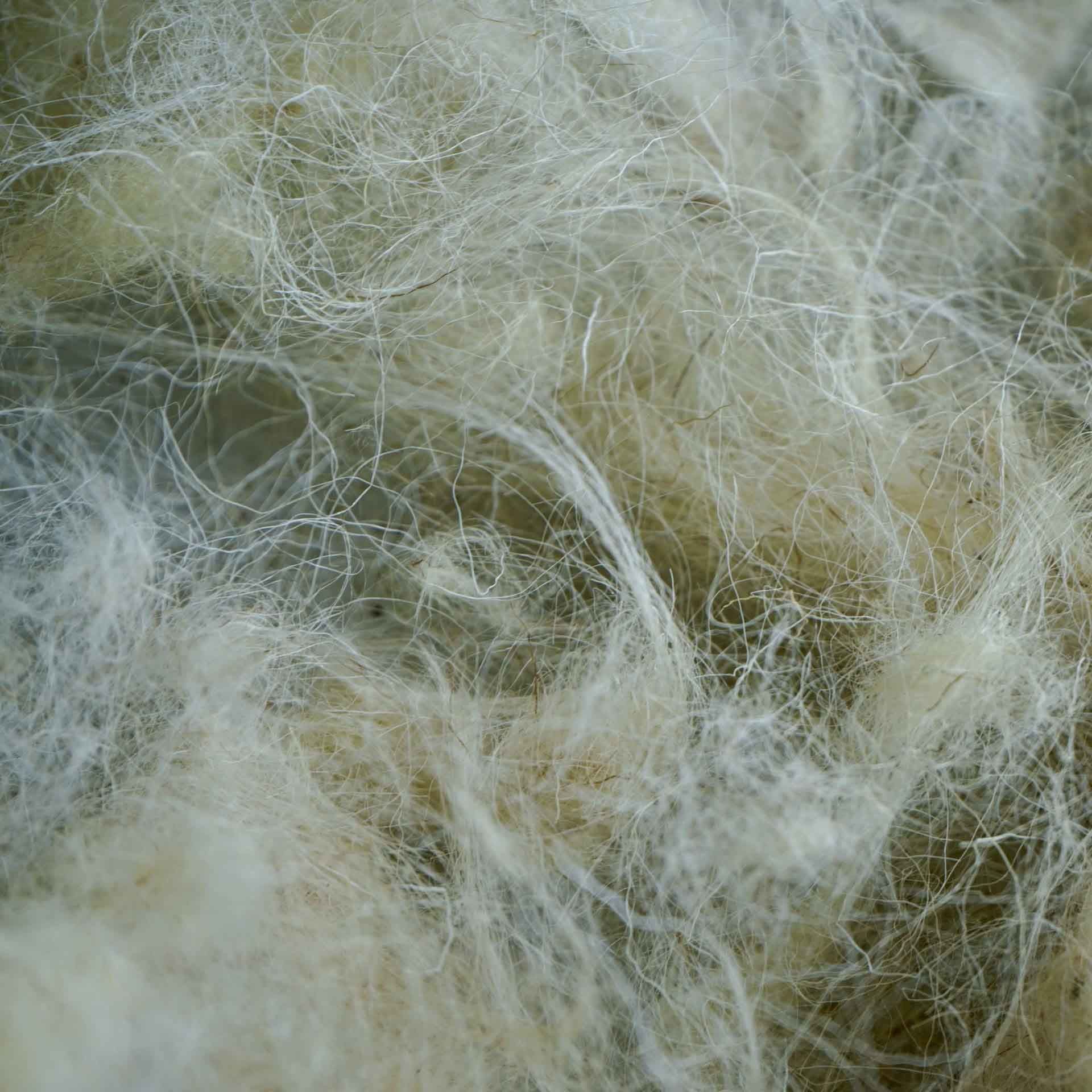 Laine cardée Manex 100 % naturelle, vendue au kilo, idéale pour rembourrage éthique et local.