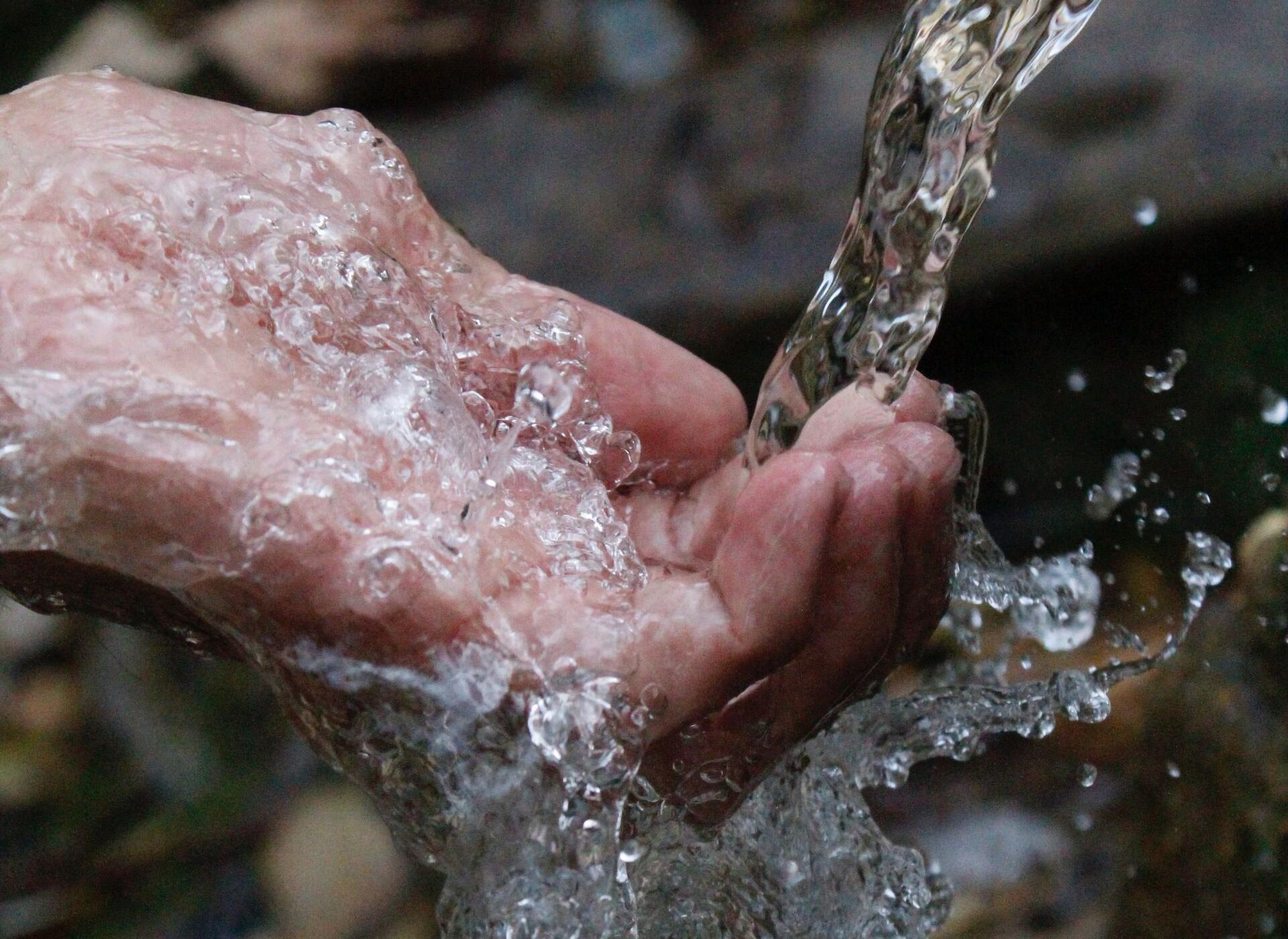 Lavage et traitement durable de la laine chez nos partenaires et à l'atelier TOKILIA