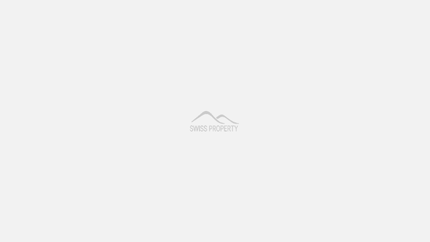 Launched as a boutique real estate developer, Swiss Property.
