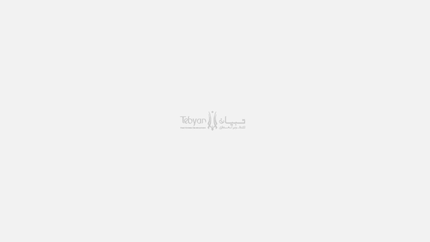 Tebyan Real Estate Development Enterprises L.L.C is the consolidation of the track records.