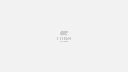 Tiger Group start was in Construction pasture through Tiger constricting Company that was established in Sharjah.