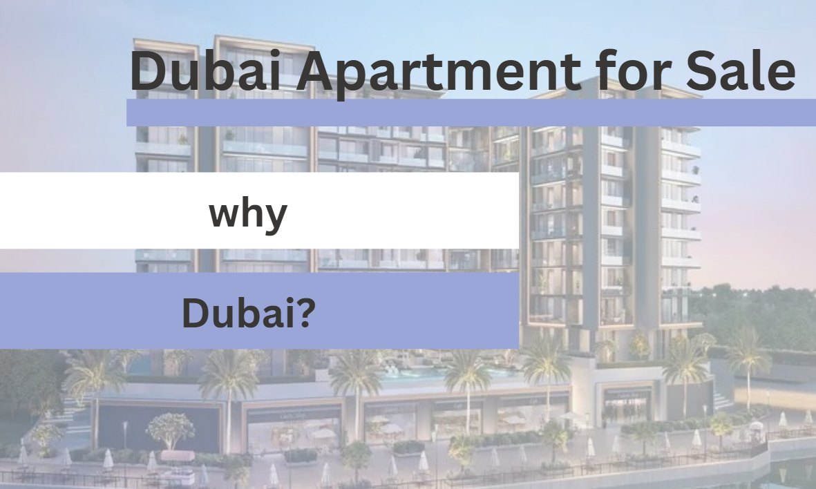 Dubai offers unique blend of modern luxury, culture, innovation, making it a top destination for tourism, business, lifestyle