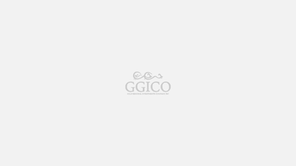 GGICO Properties is a fresh breed of Dubai-based real estate service companies.