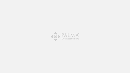Contact Palma Holding ... Established in 1998 in Dubai, United Arab Emirates, Palma Holding is a world-class developer.