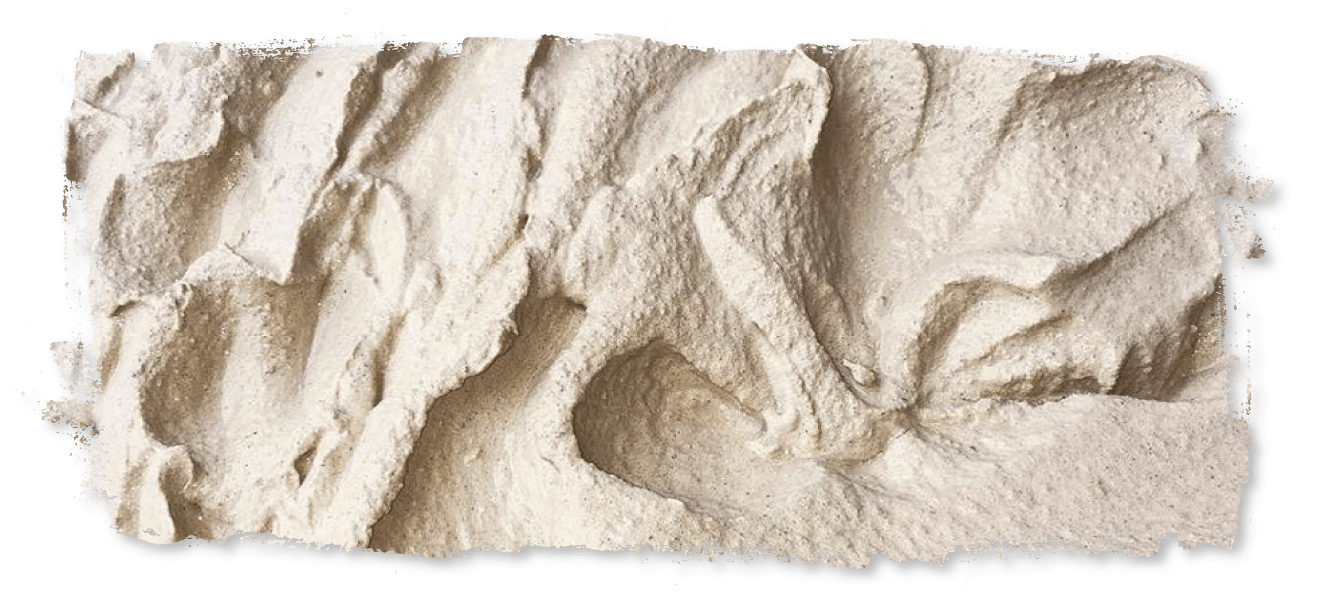 A close up of a piece of sand on a white background.