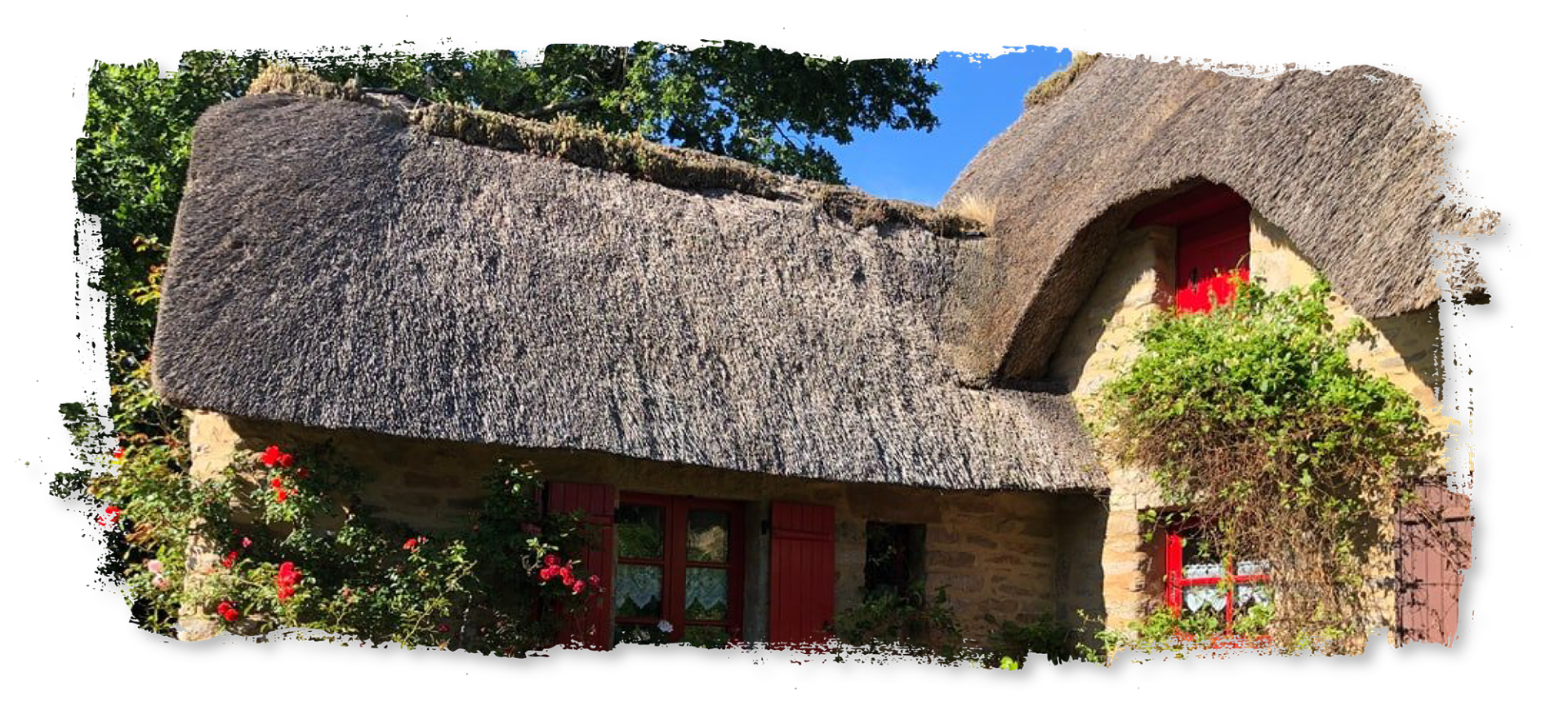 A thatched house with a red door and a thatched roof