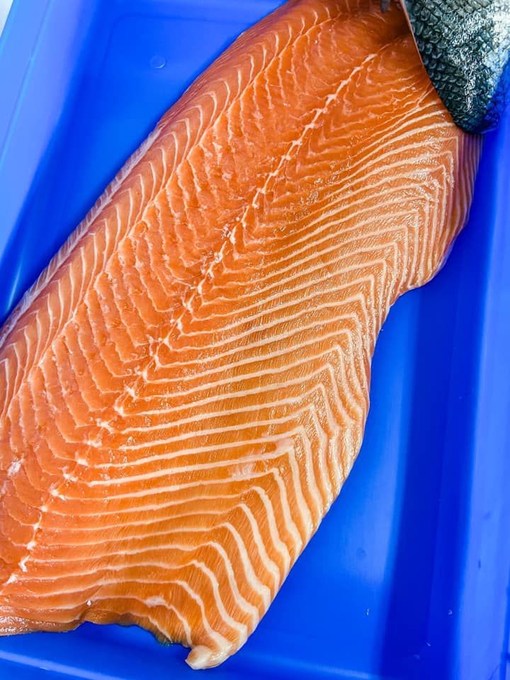 A large, fresh salmon fillet with prominent white fat marbling lies on a bright blue plastic tray.