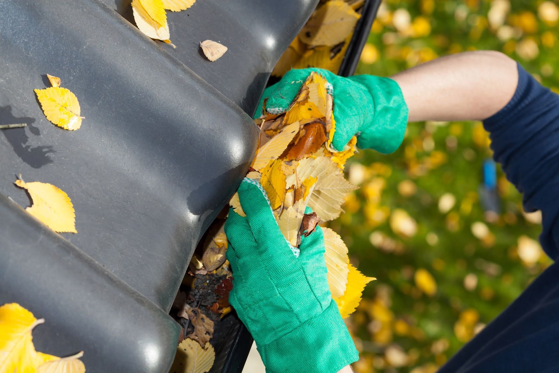 Person wearing green gloves cleaning autumn leaves from a dark gutter.