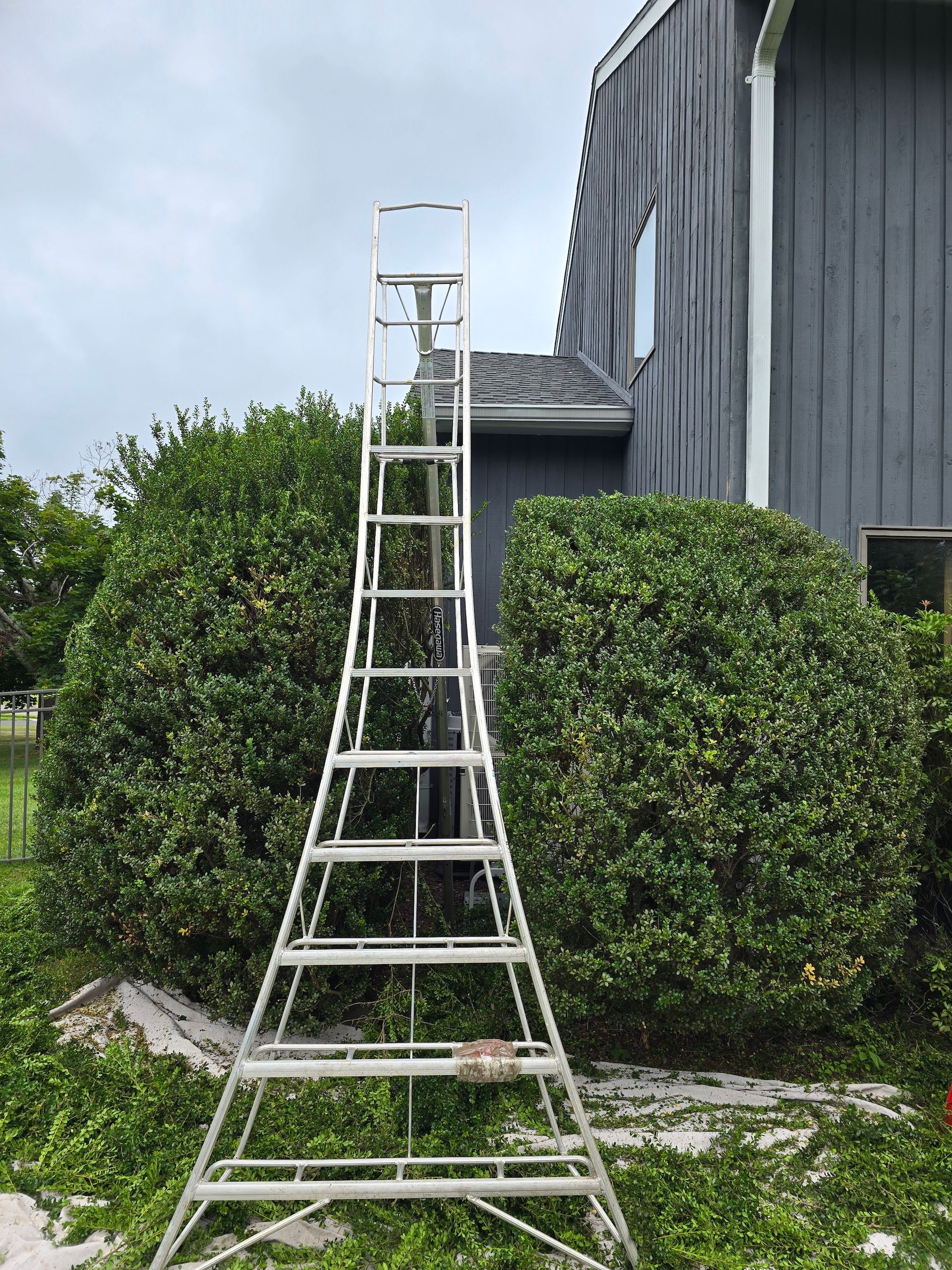 A tall, metal ladder is set up near a dark gray house and green bushes, possibly for trimming. The sky is overcast.