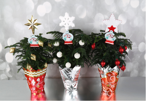 Three small decorated Christmas trees in red, silver, and orange pots with festive toppers