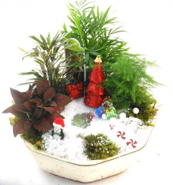 Mini holiday terrarium with snowy white base, green plants, and red Christmas decorations