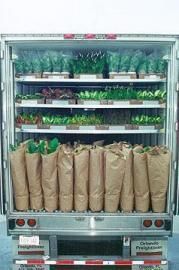 Truck loaded with brown paper bags of groceries and green plants on shelves