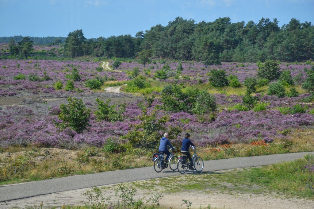 Fietsen op de Veluwe