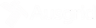 Ausgrid logo in blue and green text with abstract blue and green icon