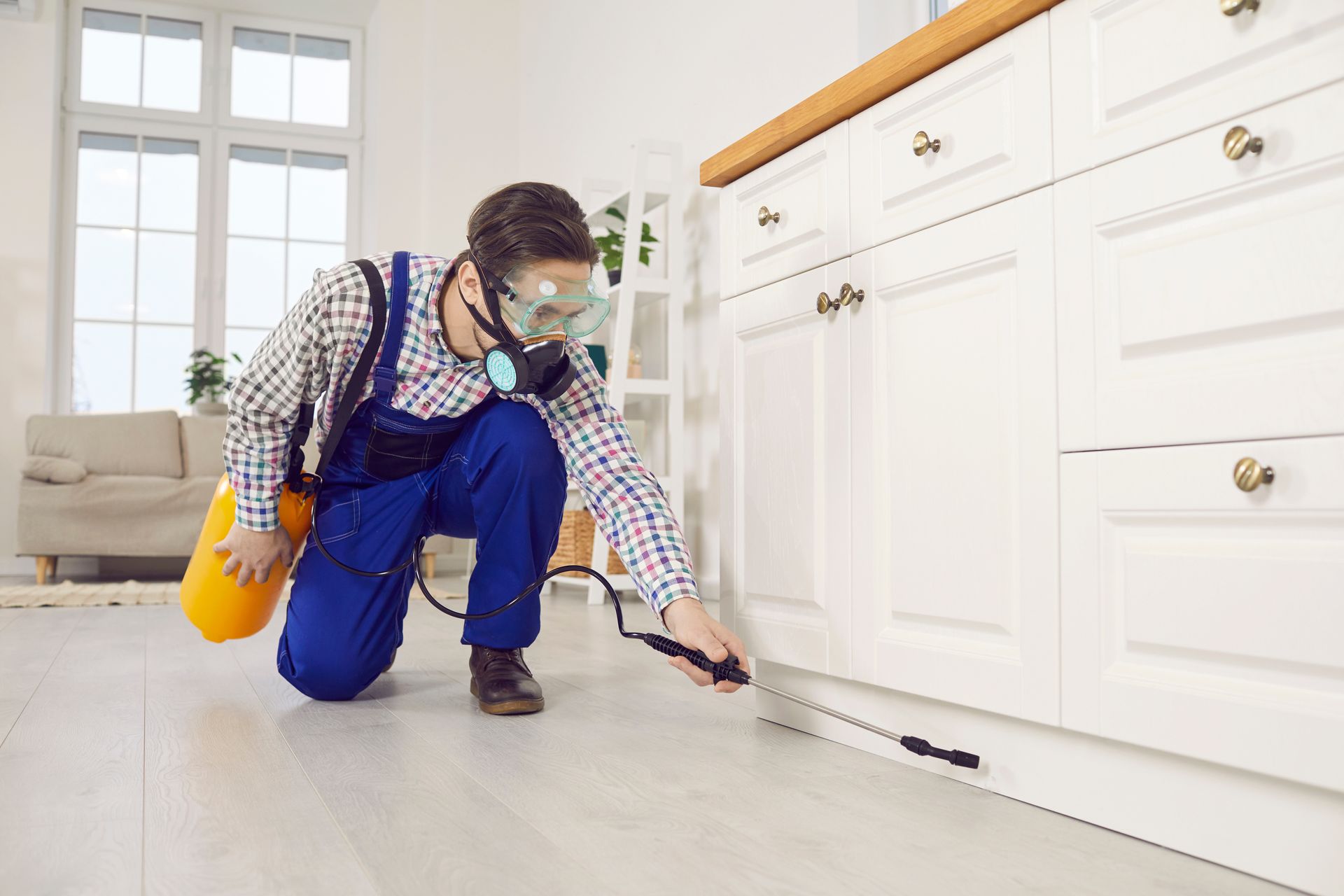 A man is spraying a chemical for pest control.