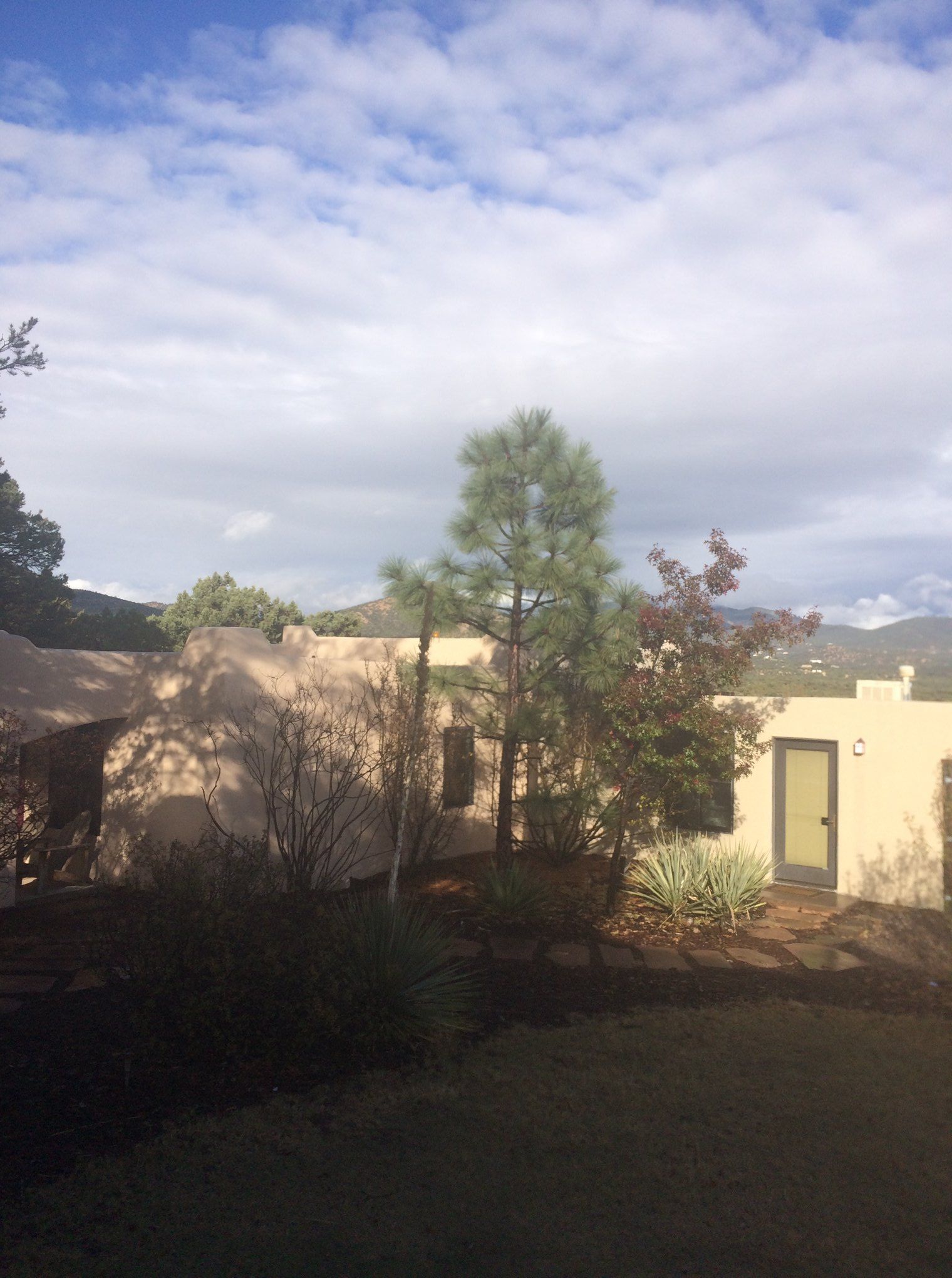 a house with a lot of trees in front of it