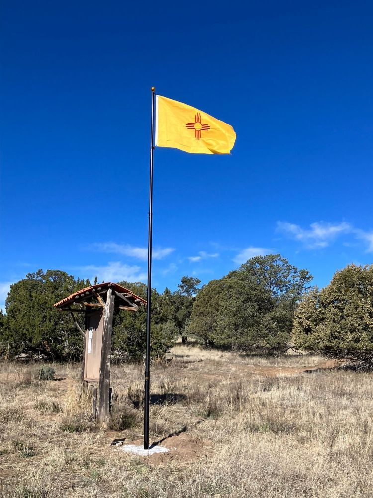 new mexico flag