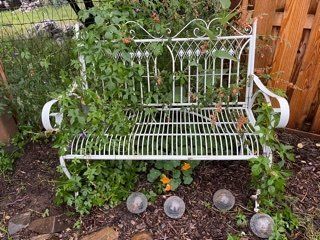A white bench with ivy growing on it in a garden.