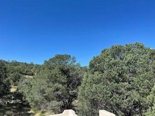 A view of a forest with trees and a blue sky.