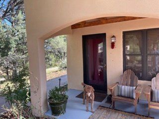 A dog is standing on a porch next to a chair.