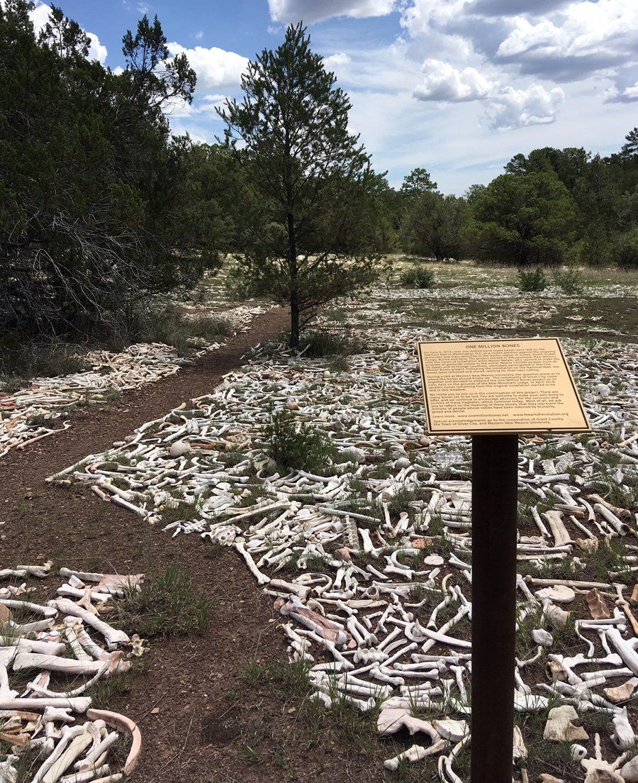A sign in a field of bones with trees in the background