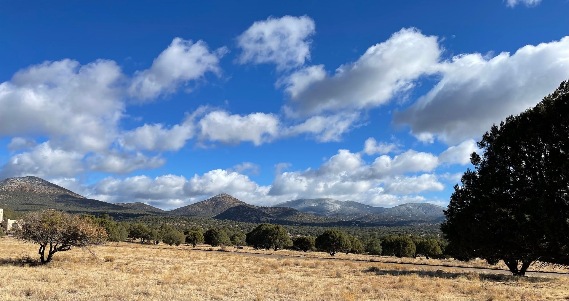 A field with trees and mountains in the background and a blue sky with clouds.