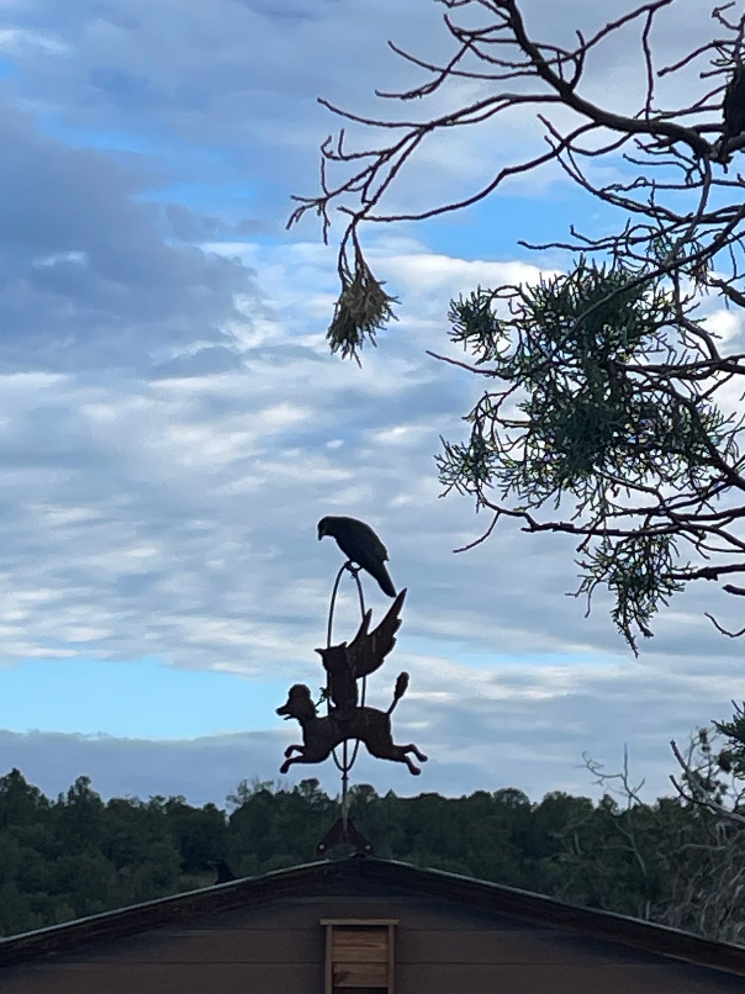 Bird perched on a roof ornament above a cabin, silhouetted against a cloudy sky.