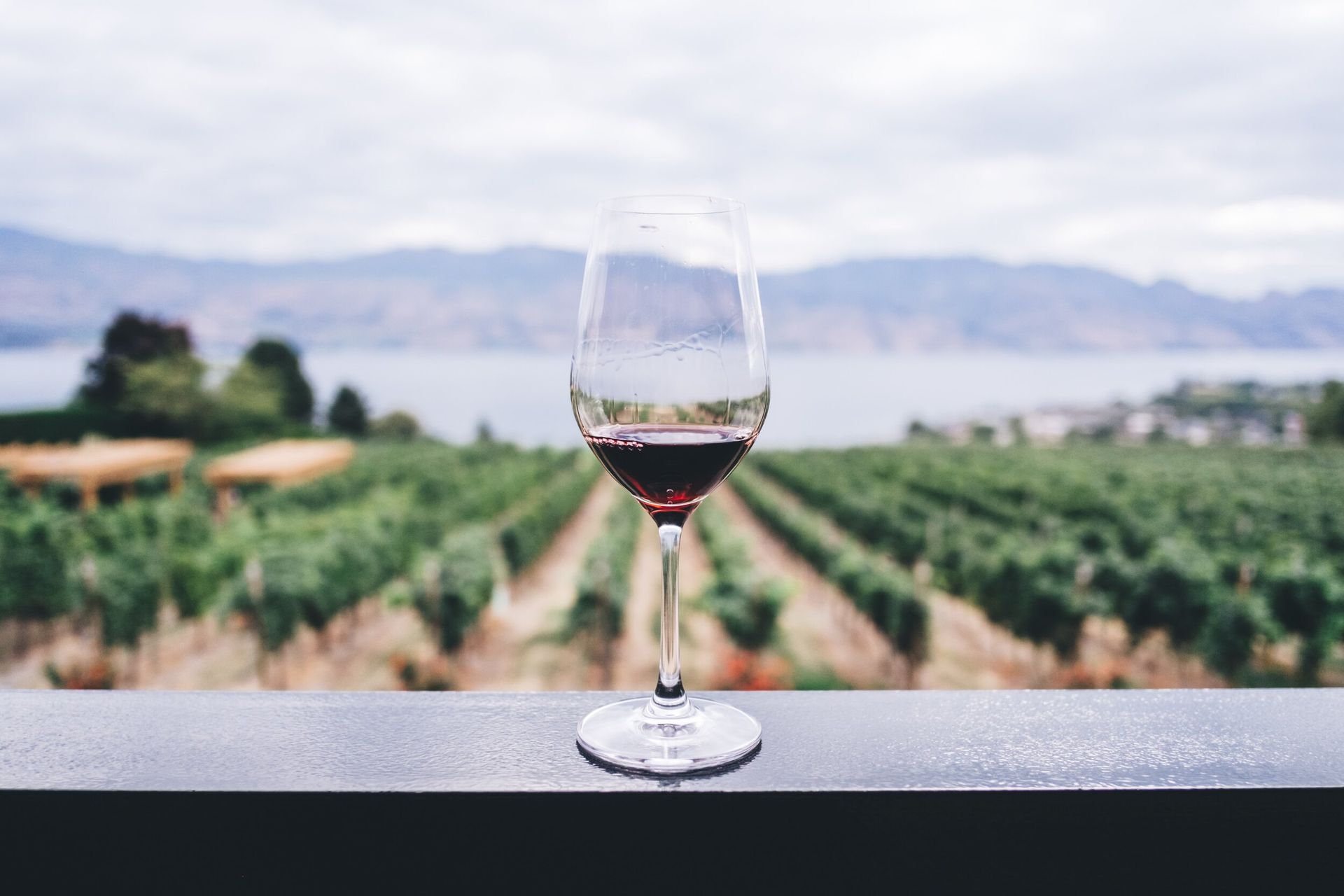 Wine glass on a table overlooking a vineyard with distant mountains