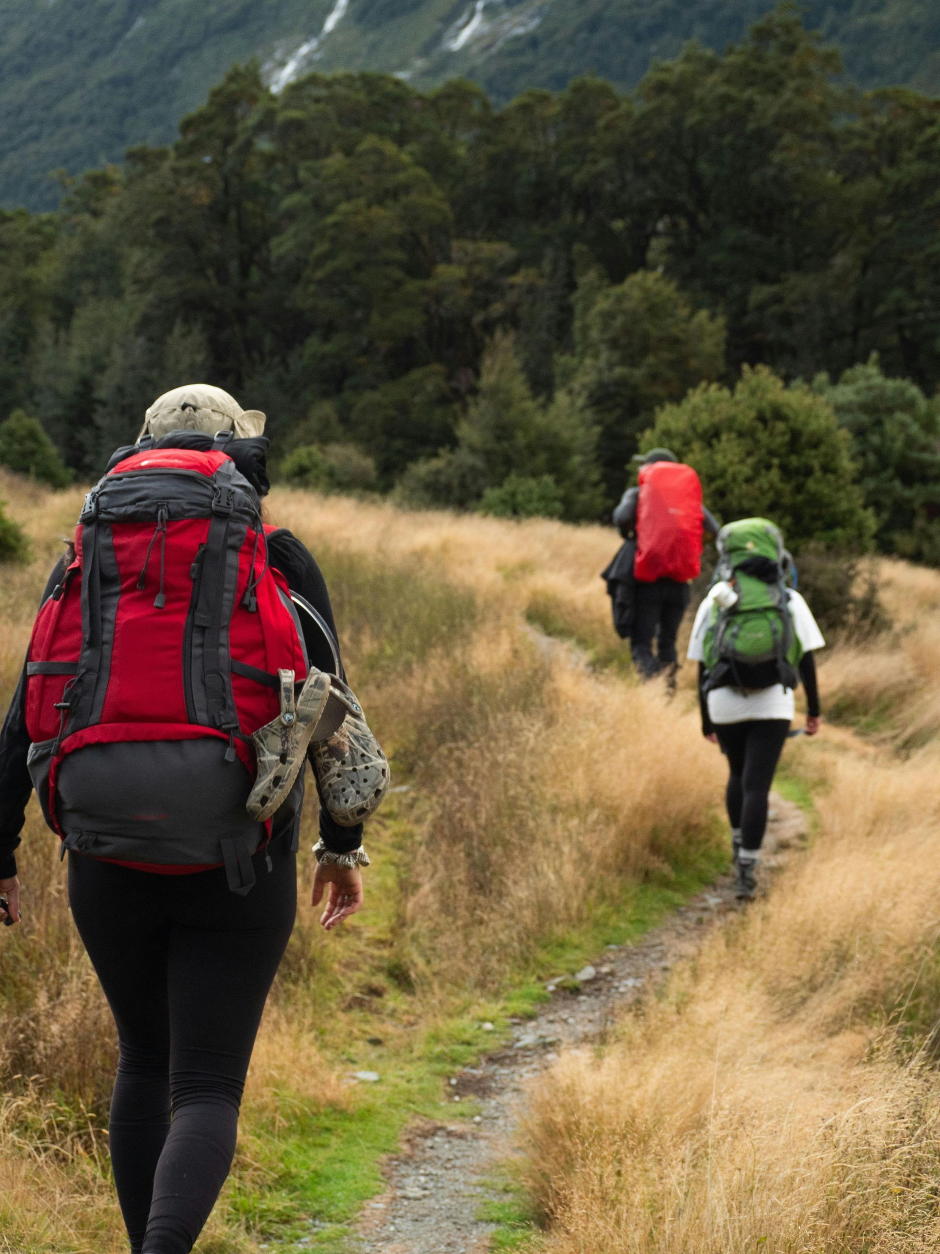 Three hikers with backpacks on a narrow trail through tall grass in a mountain landscape