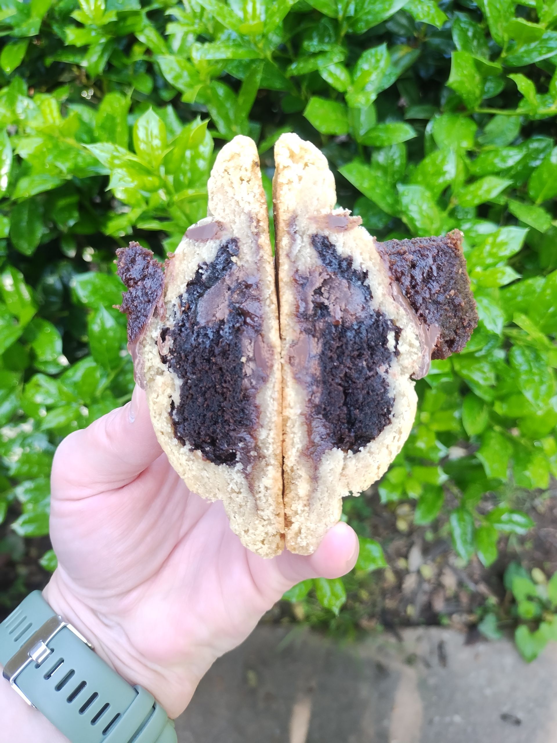 Hand holding a halved cookie with a dark, fudgy center, against green foliage.